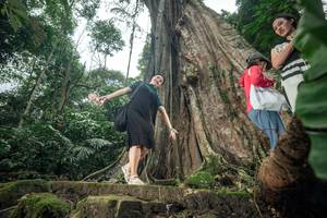 BIB: 
                            <button type="button" onclick="openModal(24810233)" class="btn btn-primary btn-sm float-right btn-popup" data-toggle="modal" data-target=".modal-high-quality">
                        <i class="fas fa-shopping-cart"></i> Add to Cart
                    </button>
                                            <button type="button" onclick="isThisMe(24810233, true)" class="btn btn-success btn-sm float-right btn-popup btn-isme hidden" data-toggle="tooltip" data-placement="bottom" title="นี่คือรูปของคุณใช่ไหม คลิกที่นี่เพื่อเอาเข้าอัลบั้ม">
                        <i class="fas fa-plus"></i> Add to album
                    </button>
                    <button type="button" onclick="isThisMe(24810233, false)" class="btn btn-warning btn-sm float-right btn-popup btn-isnotme hidden">
                        <i class="fas fa-ban"></i> Remove from album
                    </button>